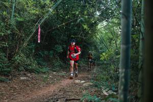 BIB: 
                            <button type="button" onclick="openModal(28023979)" class="btn btn-primary btn-sm float-right btn-popup" data-toggle="modal" data-target=".modal-high-quality">
                        <i class="fas fa-shopping-cart"></i> Add to Cart
                    </button>
                                            <button type="button" onclick="isThisMe(28023979, true)" class="btn btn-success btn-sm float-right btn-popup btn-isme hidden" data-toggle="tooltip" data-placement="bottom" title="นี่คือรูปของคุณใช่ไหม คลิกที่นี่เพื่อเอาเข้าอัลบั้ม">
                        <i class="fas fa-plus"></i> Add to album
                    </button>
                    <button type="button" onclick="isThisMe(28023979, false)" class="btn btn-warning btn-sm float-right btn-popup btn-isnotme hidden">
                        <i class="fas fa-ban"></i> Remove from album
                    </button>